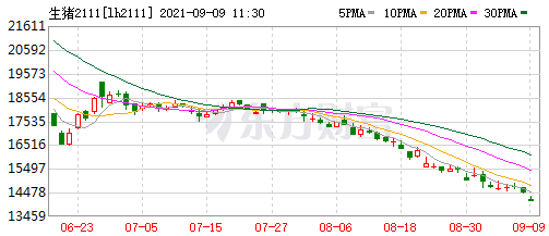 2021.9.9-今日猪价继续下行，8月进口肉类76万吨环减11%，温氏、天康和唐人神8月生猪销量均增长，猪企养猪成本相差比较大