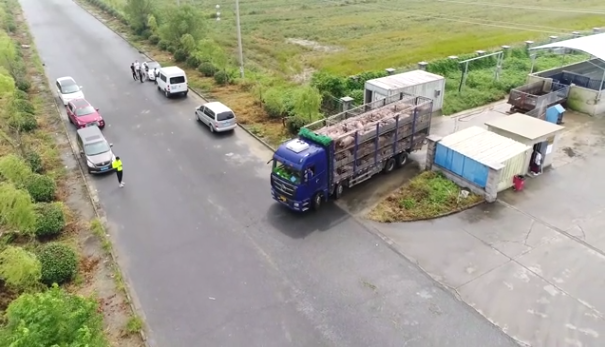 生猪期货首次交割顺利收官