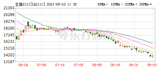 2021.9.10-今日猪价全线下跌，有23省进6元时代；新兴重划禁养区，温氏有影响吗？牧原仔猪销量下降因客户购买意愿减弱；15家饲企上半年饲料业绩如何？