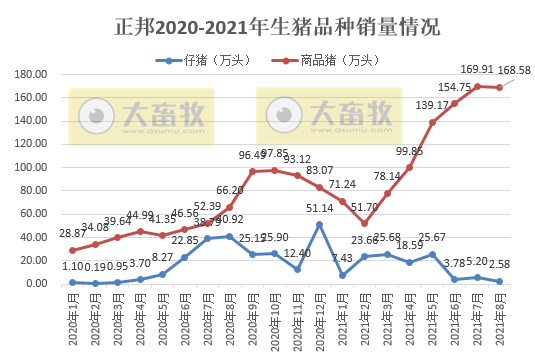 正邦科技：8月生猪销量环比下降，前8个月生猪销量超1000万头