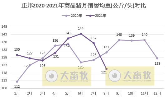 正邦科技：8月生猪销量环比下降，前8个月生猪销量超1000万头