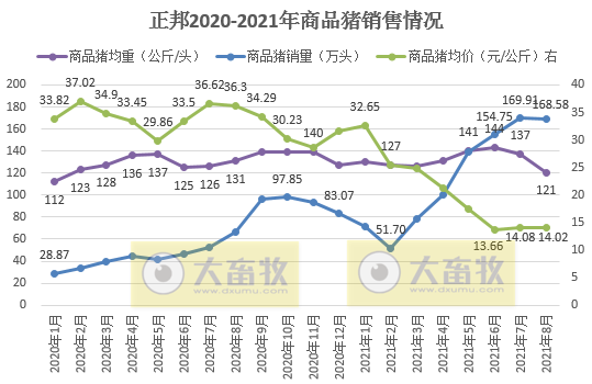 正邦科技：8月生猪销量环比下降，前8个月生猪销量超1000万头