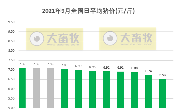 2021.9.11-今日猪价继续全线下跌，接近6月最低点；玉米消费量在下降；猪企储备了多少资金渡过难关？广东已收储猪肉1818吨；7天10国发生210起非瘟疫情
