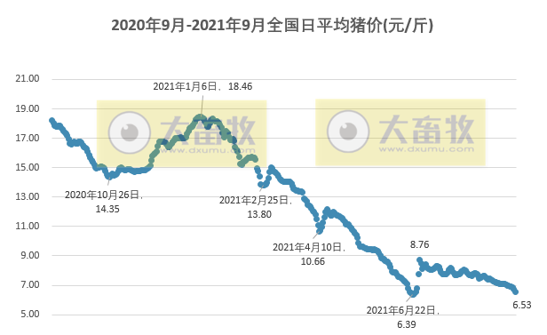 2021.9.11-今日猪价继续全线下跌，接近6月最低点；玉米消费量在下降；猪企储备了多少资金渡过难关？广东已收储猪肉1818吨；7天10国发生210起非瘟疫情