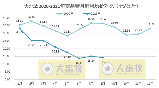 大北农：8月生猪销量40万头环降13%，收入环降21%，前8月生猪销量超250万头