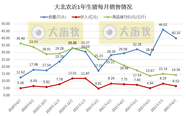 大北农：8月生猪销量40万头环降13%，收入环降21%，前8月生猪销量超250万头