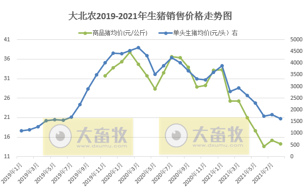 大北农：8月生猪销量40万头环降13%，收入环降21%，前8月生猪销量超250万头