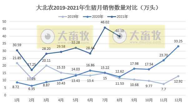 大北农：8月生猪销量40万头环降13%，收入环降21%，前8月生猪销量超250万头