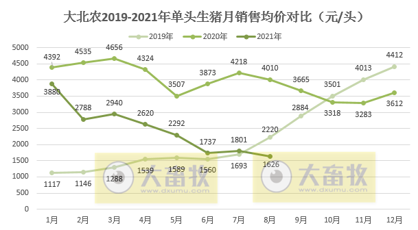 大北农：8月生猪销量40万头环降13%，收入环降21%，前8月生猪销量超250万头