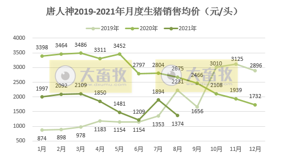 唐人神：8月生猪收入1.2亿元环降27%同降58%，前8个月生猪销量超100万头