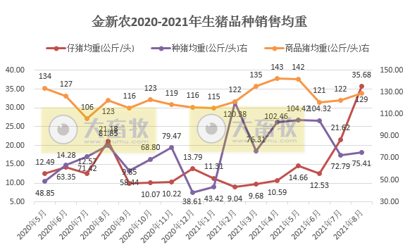 金新农:8月生猪销量环降25%,收入环增2.5%,仔猪均重35公斤同环增65%以上