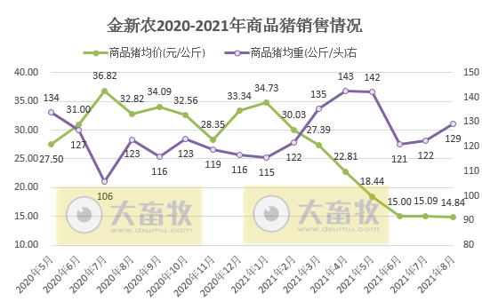 金新农:8月生猪销量环降25%,收入环增2.5%,仔猪均重35公斤同环增65%以上