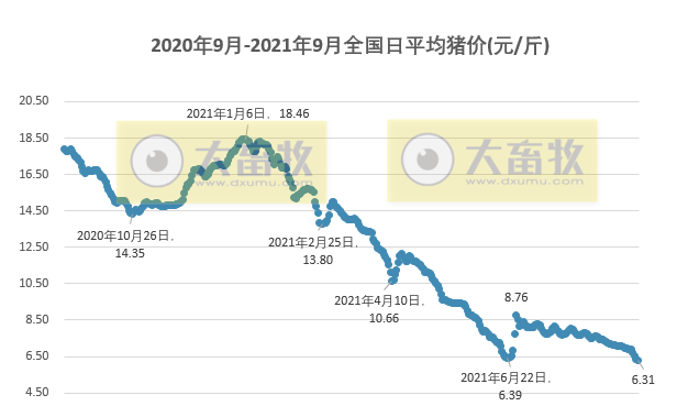 2021.9.13-今日猪价再创新低,但7省止跌上涨,养猪头均亏675元连亏17周,新希望预计今年生猪出栏1000万头,17家猪企扩张速度如何?