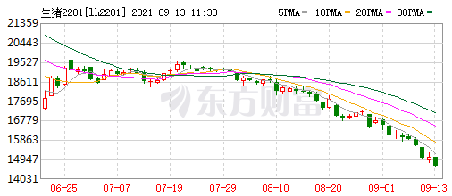 2021.9.13-今日猪价再创新低,但7省止跌上涨,养猪头均亏675元连亏17周,新希望预计今年生猪出栏1000万头,17家猪企扩张速度如何?