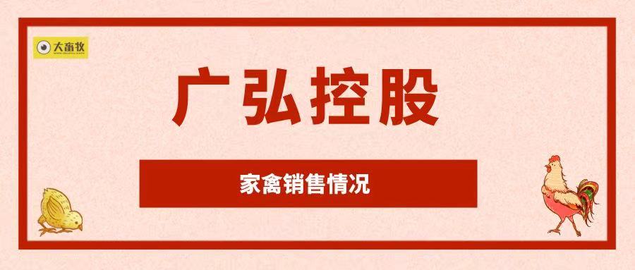 广弘控股2022年1月生猪和鸡苗销售情况