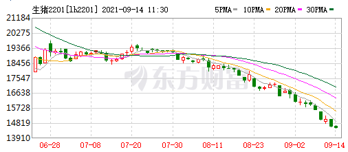 2021.9.14-今日猪价止跌反弹，24省翻红，温氏牧原在扩张生猪屠宰业务，京基智农的六大生猪项目正有序推进，罗牛山8月生猪销量和收入均增长