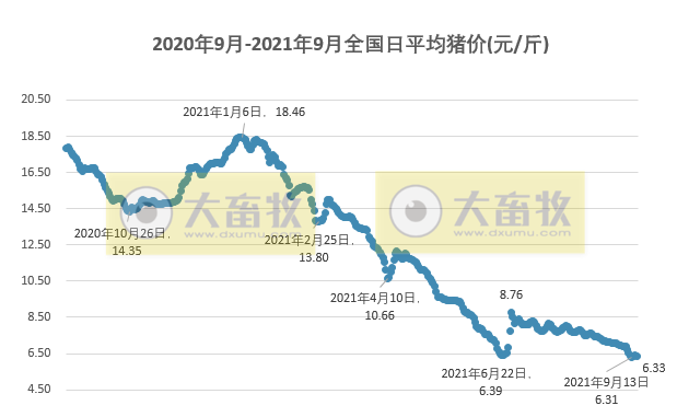 2021.9.16-今日猪价17省下跌，金新农募资近7亿扩大生猪产业且挂牌出售4家下属公司股权，因仔猪价格下跌唐人神加大育肥量，龙大8月商品猪均价下降9.6%，生猪股全部飘红