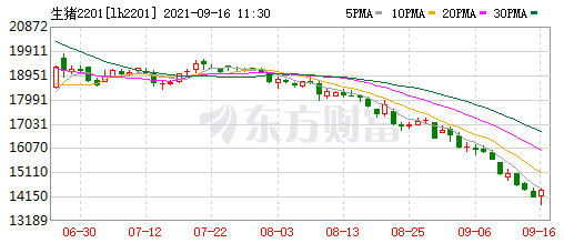 2021.9.16-今日猪价17省下跌，金新农募资近7亿扩大生猪产业且挂牌出售4家下属公司股权，因仔猪价格下跌唐人神加大育肥量，龙大8月商品猪均价下降9.6%，生猪股全部飘红