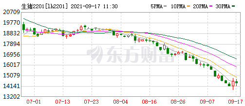 2021.9.17-今日猪价再创新低，13省跌破6元，生猪出栏量预计持续增长至明年2月，温氏8月猪苗生产成本450元/头，新希望拟使用不超7亿元闲置募集资金临时补充流动资金