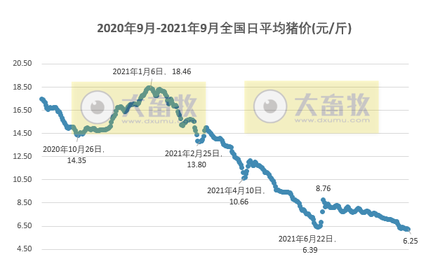 2021.9.20-今日猪价再创新低，养猪头均亏715.8元，8月能繁母猪存栏环降0.9%，生产惯性增长行情仍将低迷，建议不要压栏，不要赌明年元旦春节的行情