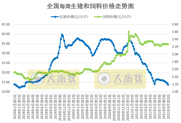 2021.9.20-今日猪价再创新低，养猪头均亏715.8元，8月能繁母猪存栏环降0.9%，生产惯性增长行情仍将低迷，建议不要压栏，不要赌明年元旦春节的行情