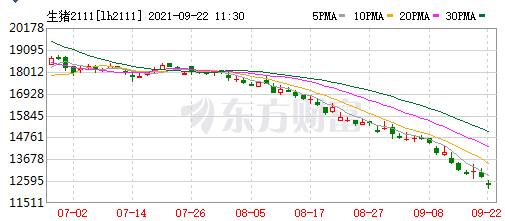 2021.9.22-今日猪价连续3天创新低，最低5.3元；仔猪价格这么低，可以考虑补栏吗？天邦拟1.9亿元出售猪料子公司部分股权，生猪股和期货双双飘绿