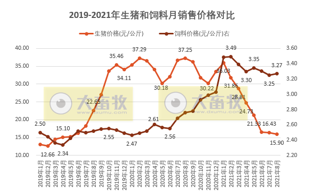 （完整版）2021年8月生猪行业数据汇总