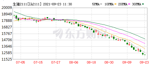 2021.9.23-今日猪价连续4天创新低,海南跌破8元,8月猪肉进口量同环比均减少20%,新希望称不存在即将倒闭的子公司,有5家兽药企业列为重点监控企业