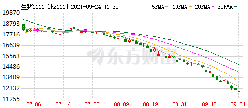 2021.9.24-今日猪价全面下跌,连续5天创新低,官方出手调控生猪产能,8月能繁母猪存栏量接近正常保有量的110%,温氏变更部分种猪场项目