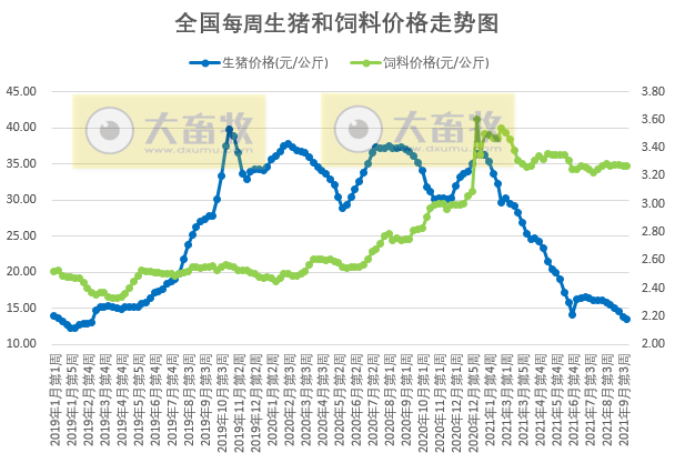 2021.9.27-今日猪价下跌，降幅收窄，3省止跌上涨，养猪头均亏698元连亏19周，玉米价格下跌创近9个月最低，生猪股市和期货双双翻红，牧原称已建立完整的生猪产业链