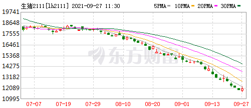 2021.9.27-今日猪价下跌，降幅收窄，3省止跌上涨，养猪头均亏698元连亏19周，玉米价格下跌创近9个月最低，生猪股市和期货双双翻红，牧原称已建立完整的生猪产业链