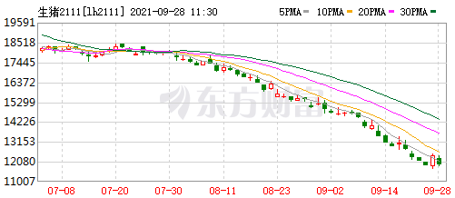 2021.9.28-今日猪价东北华北上涨,猪粮比跌进一级预警国家启动临时收储,仔猪价格连跌27周至14元,多家猪企荣登2021中国企业500强