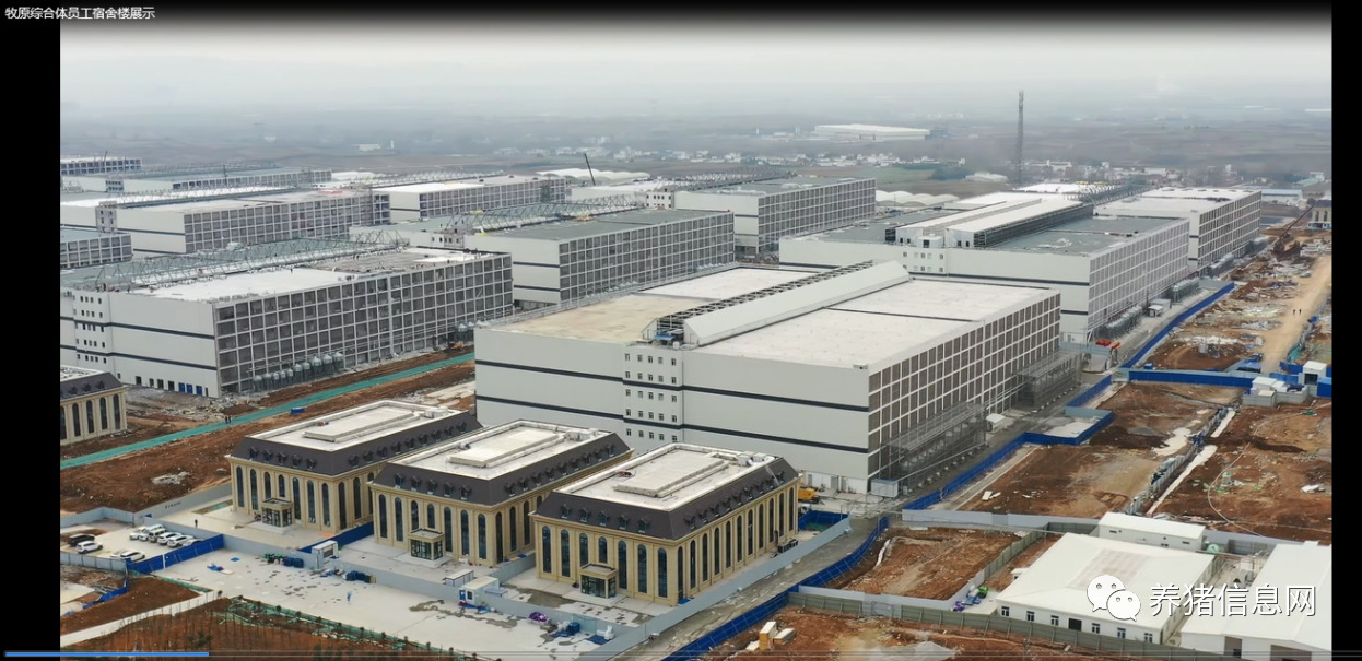 温氏何晓明：新型养殖小区的现状以及问题