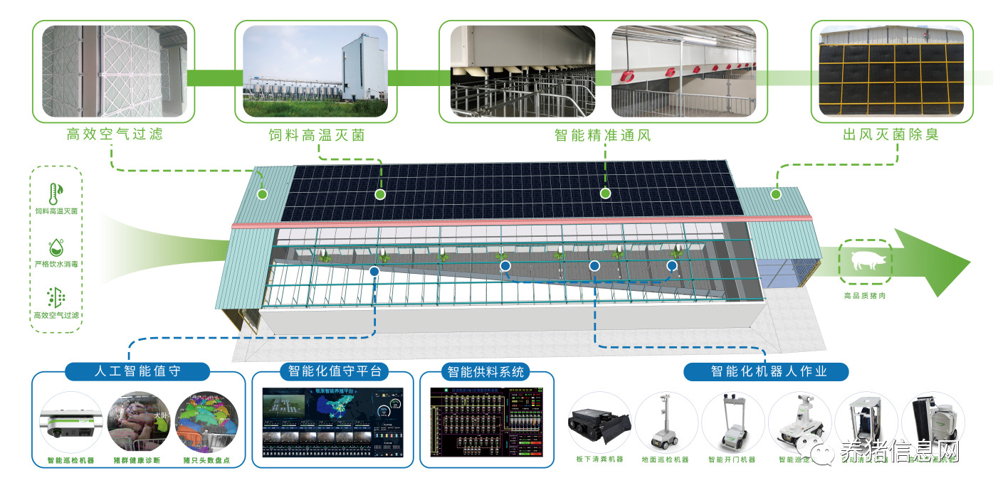温氏何晓明：新型养殖小区的现状以及问题