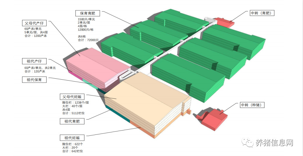 温氏何晓明：新型养殖小区的现状以及问题