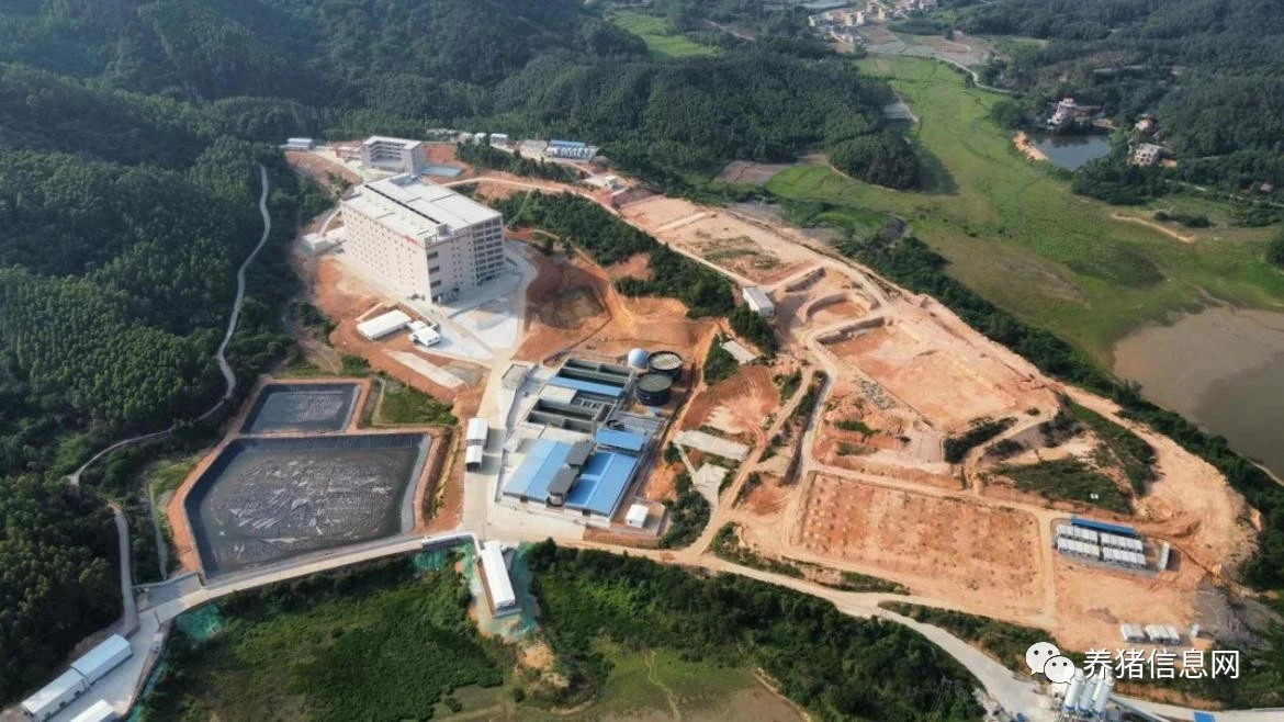 温氏何晓明：新型养殖小区的现状以及问题