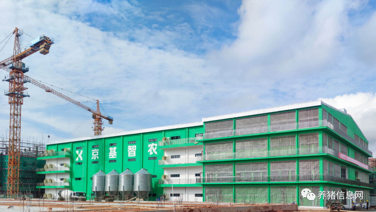 温氏何晓明：新型养殖小区的现状以及问题