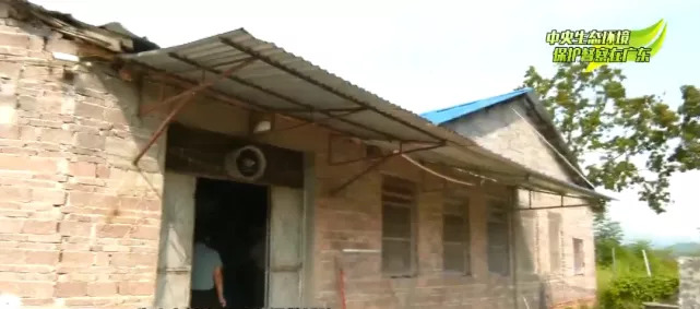 新一轮环保督察开始，已有猪场被清理，全国多地狠抓畜禽环保...