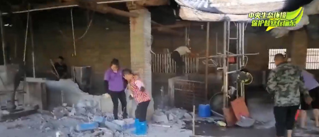 新一轮环保督察开始，已有猪场被清理，全国多地狠抓畜禽环保...