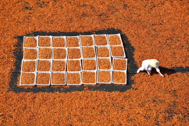 收获，在希望的田野上——写在2021年中国农民丰收节