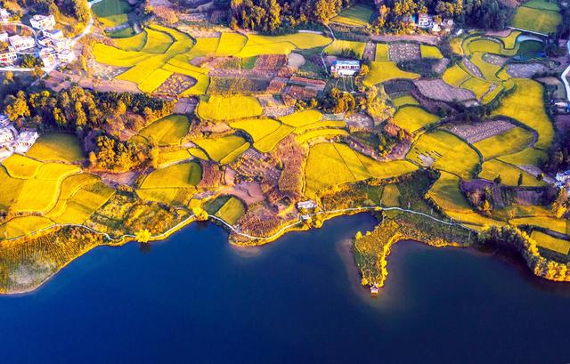 收获，在希望的田野上——写在2021年中国农民丰收节