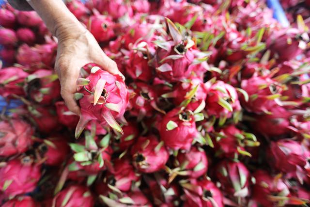 收获，在希望的田野上——写在2021年中国农民丰收节