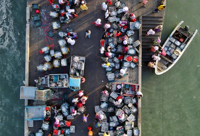 收获，在希望的田野上——写在2021年中国农民丰收节