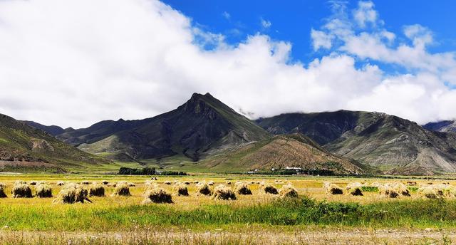 收获，在希望的田野上——写在2021年中国农民丰收节
