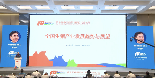 中国畜牧业协会会长：这轮猪价下跌要比以往长，猪企还想“挺一挺”