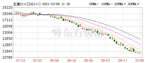 2021.10.8-今日猪价大面积上涨，温氏、天邦和傲农公布9月生猪销售数据，新希望称部分地区限电对公司饲料业务影响不大，生猪板块和期货双双飘红