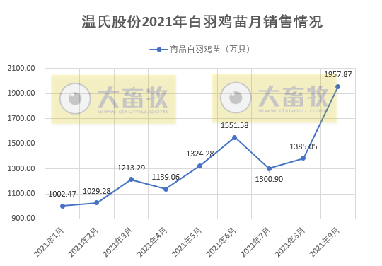 活禽市场9月迎来盈利，温氏、立华和湘佳9月和前三季度销售数据出炉