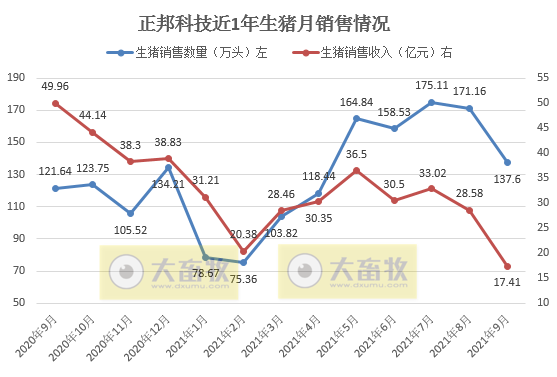 正邦科技：9月生猪销售环比均下降，收入降4成，仔猪价格跌破150元/头，商品猪均重创新低，预计前三季度亏损近70亿元
