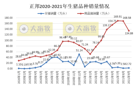 正邦科技：9月生猪销售环比均下降，收入降4成，仔猪价格跌破150元/头，商品猪均重创新低，预计前三季度亏损近70亿元