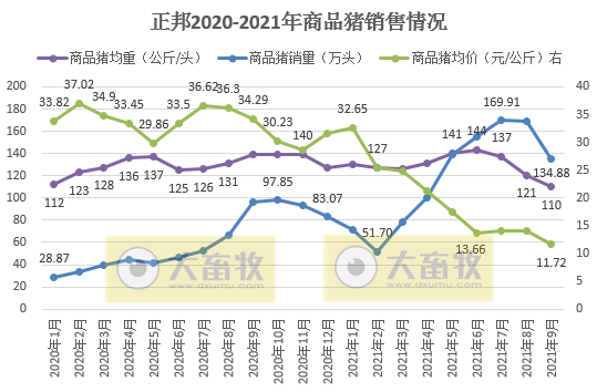 正邦科技：9月生猪销售环比均下降，收入降4成，仔猪价格跌破150元/头，商品猪均重创新低，预计前三季度亏损近70亿元